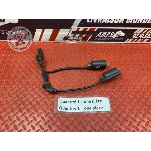 Bobine d'allumage Cagiva 1000 Raptor 2000 à 2005